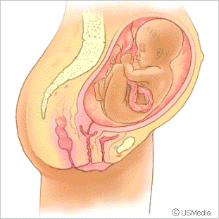 Entwicklung des Babys im 7. Monat