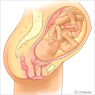 Entwicklung des Babys im 8. Monat