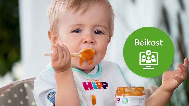 Hipp Beikost Webinar