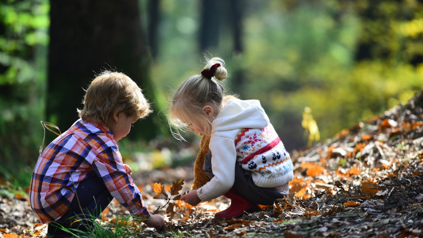 Kinder im Wald