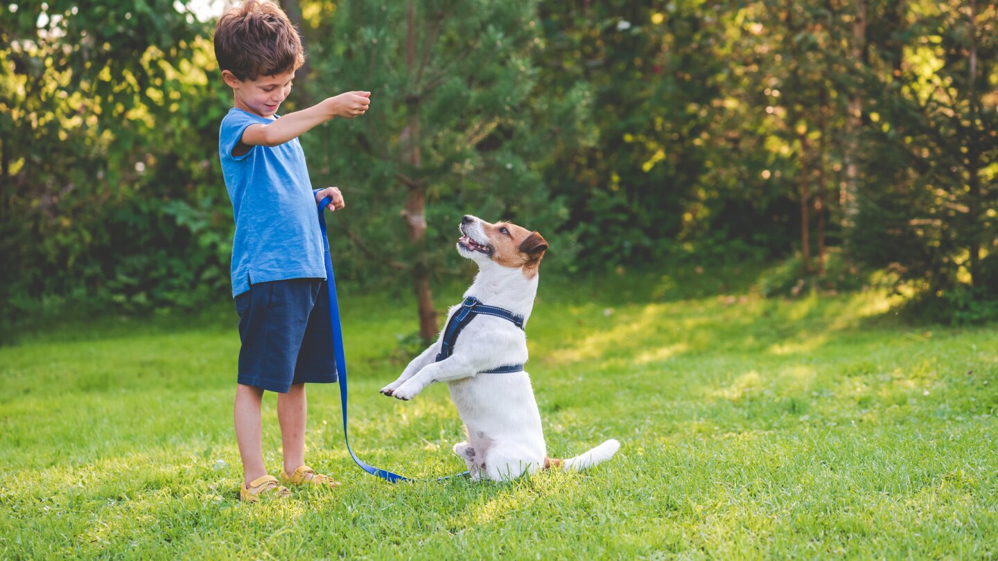 kindergartenkind spielt mit seinem hund