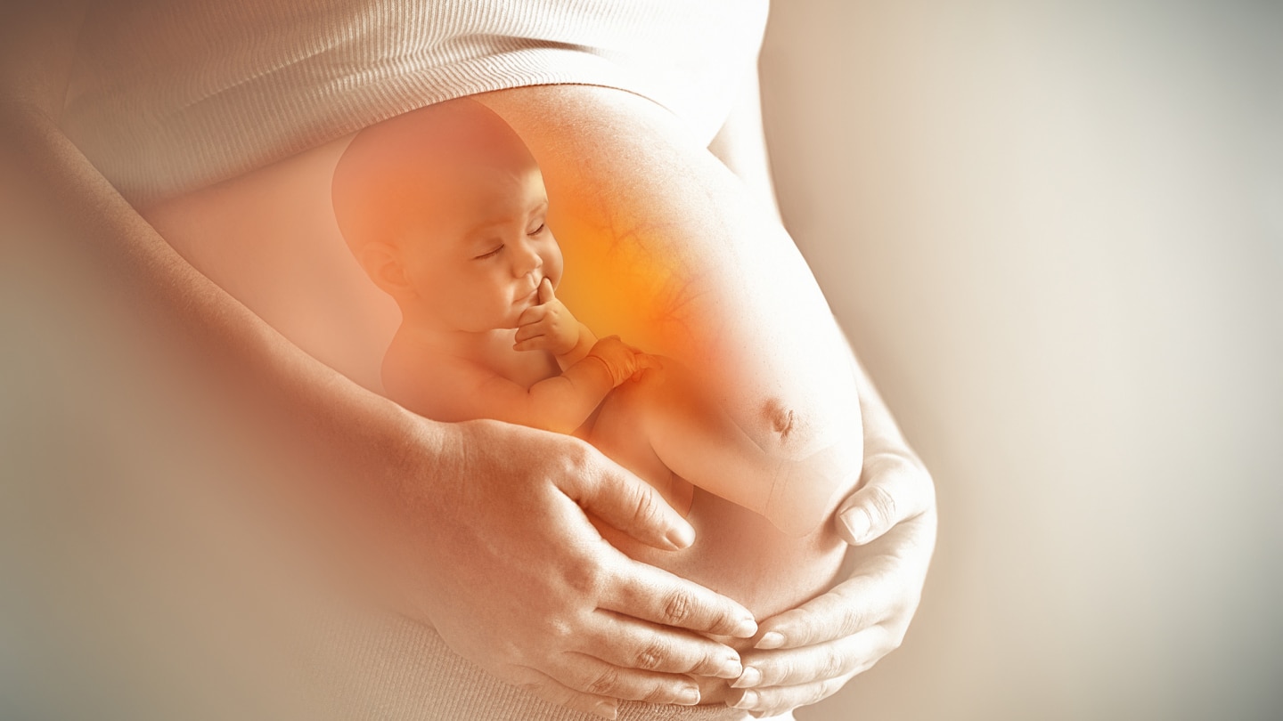 grafik-von-einem-baby-im-schwangeren-bauch