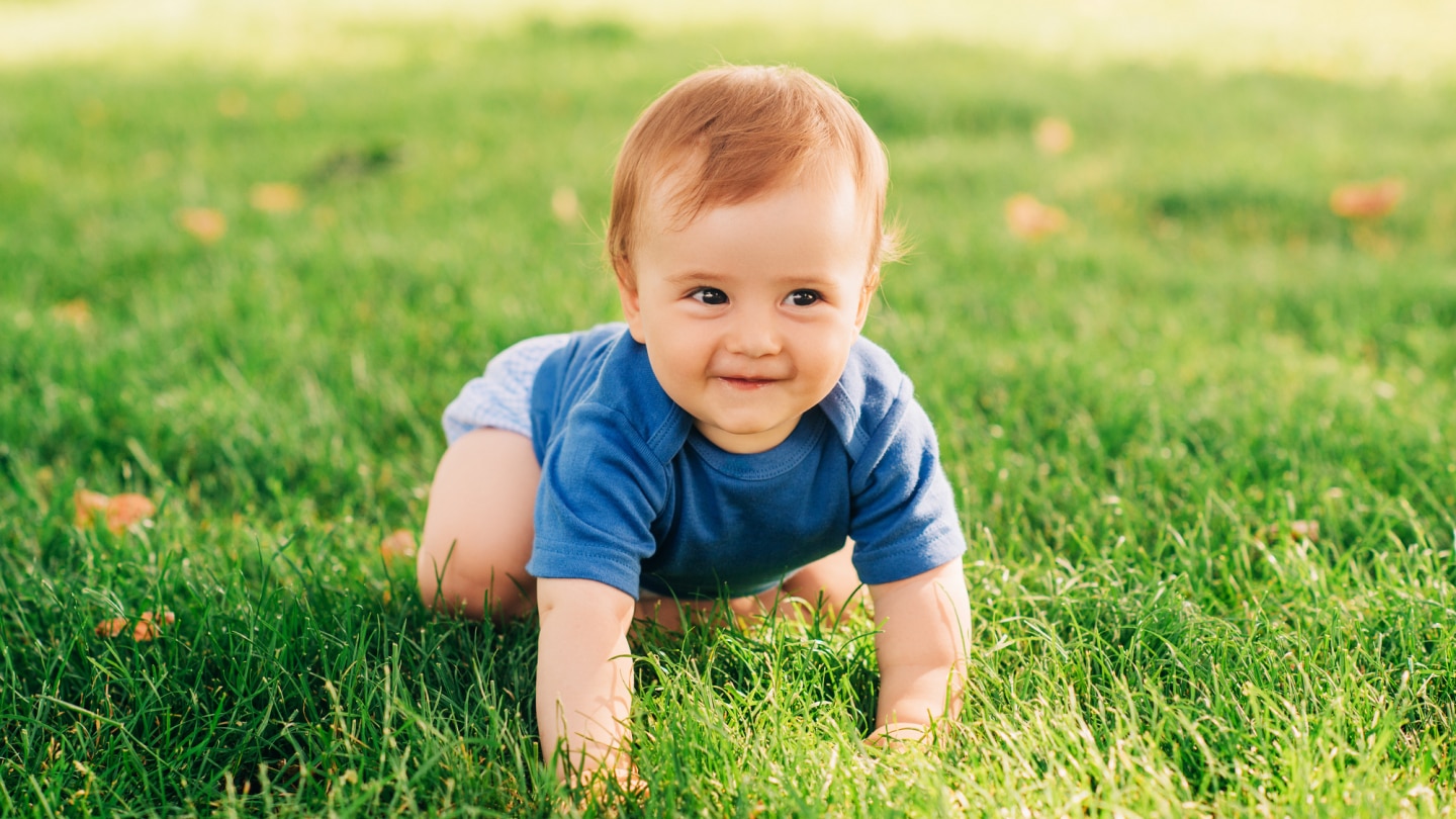 baby-krabbelt-auf-einer-wiese