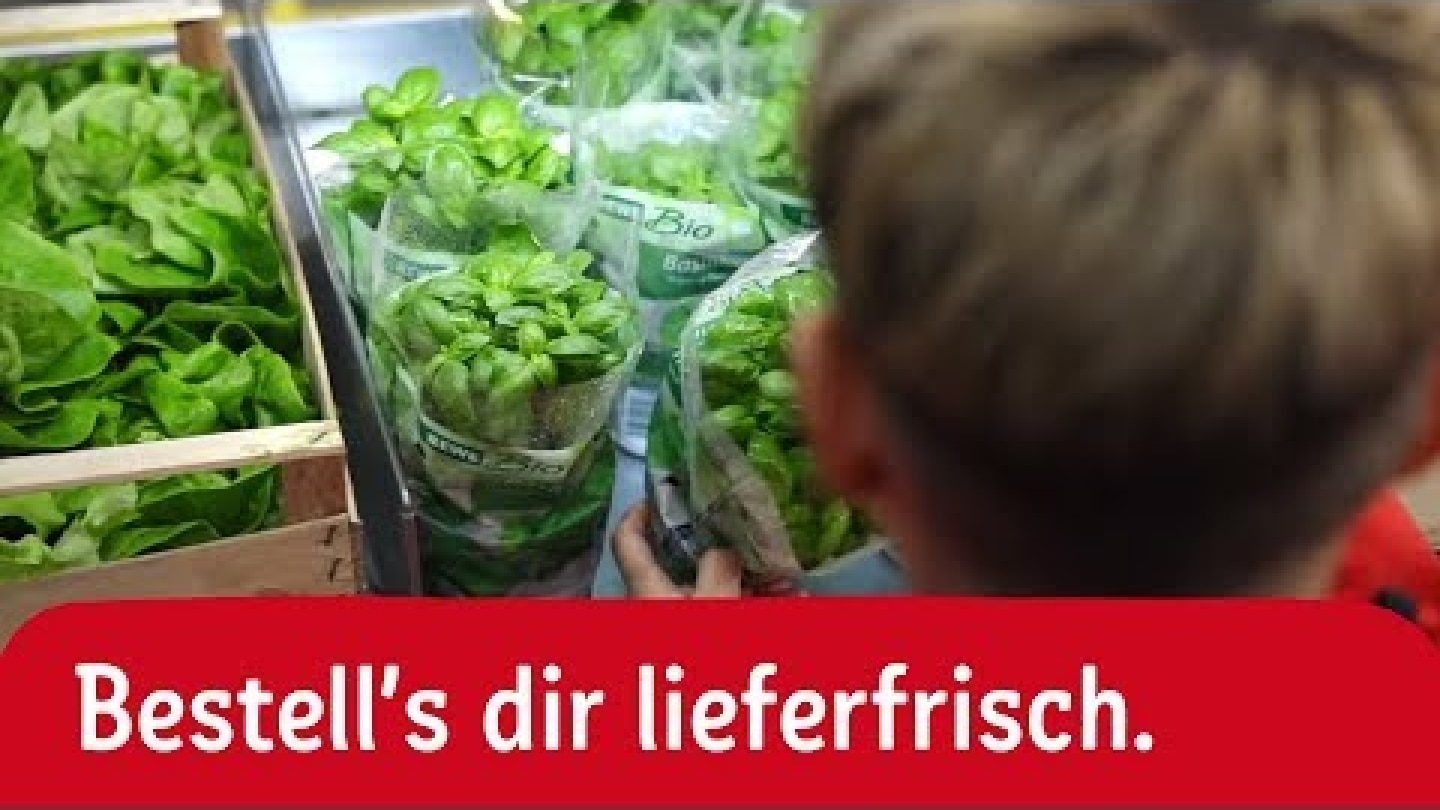 Frischer geht's nicht. | REWE Lieferservice