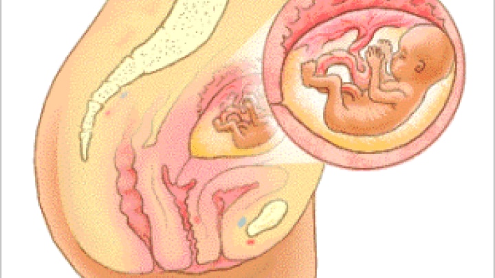 schwangerschaft_4_monat