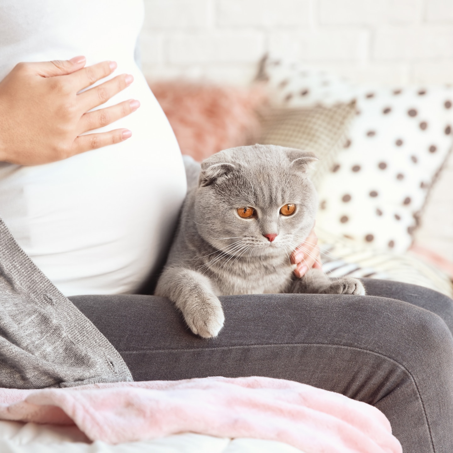 Schwangere mit Katze