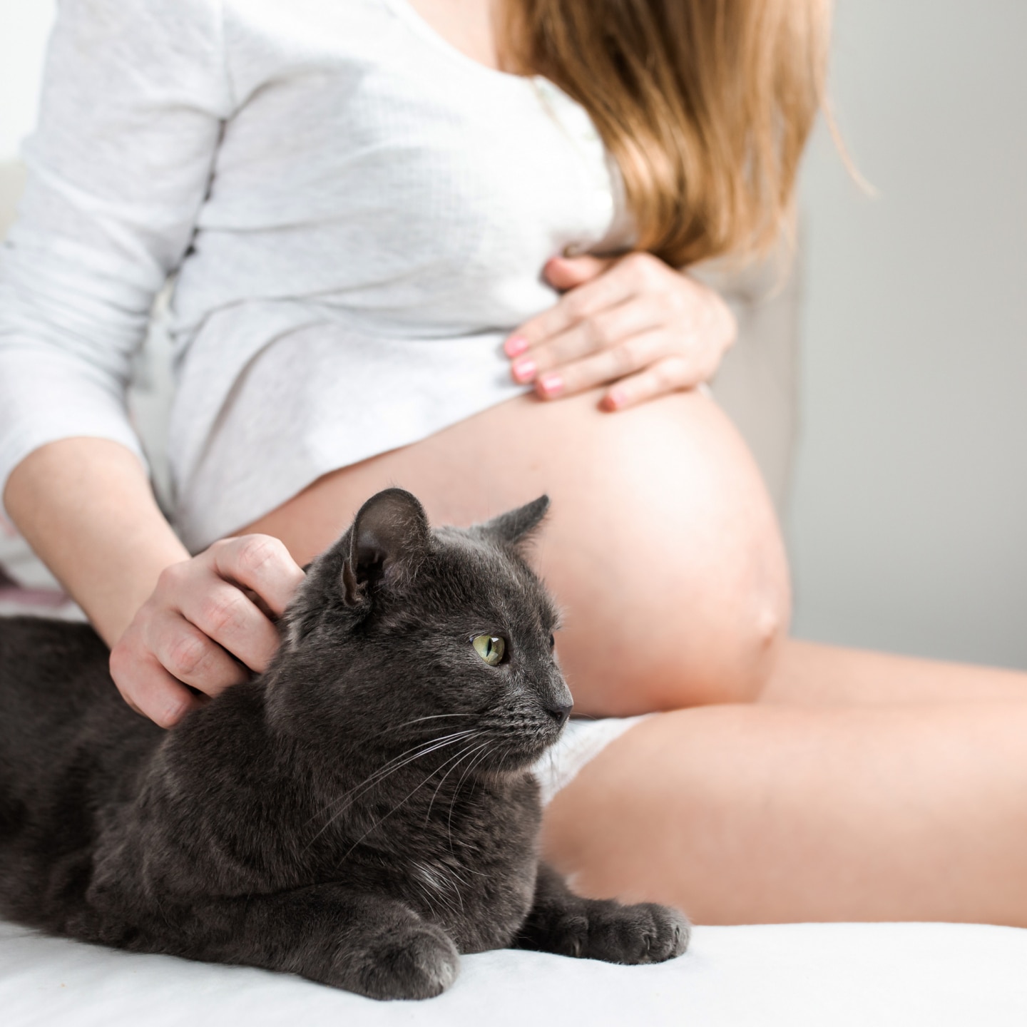 toxoplasmose in der Schwangerschaft