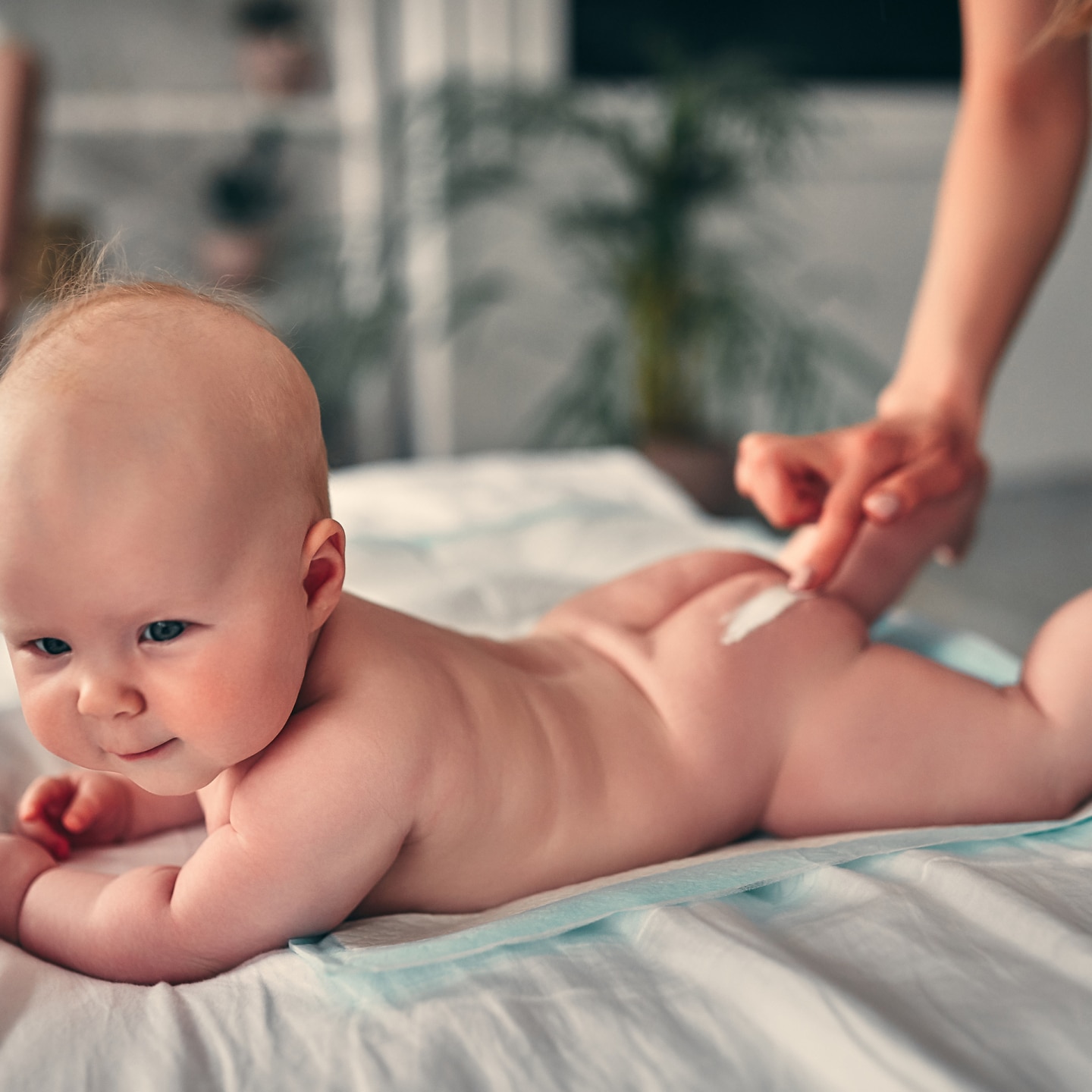 Baby Po wird eingecremt