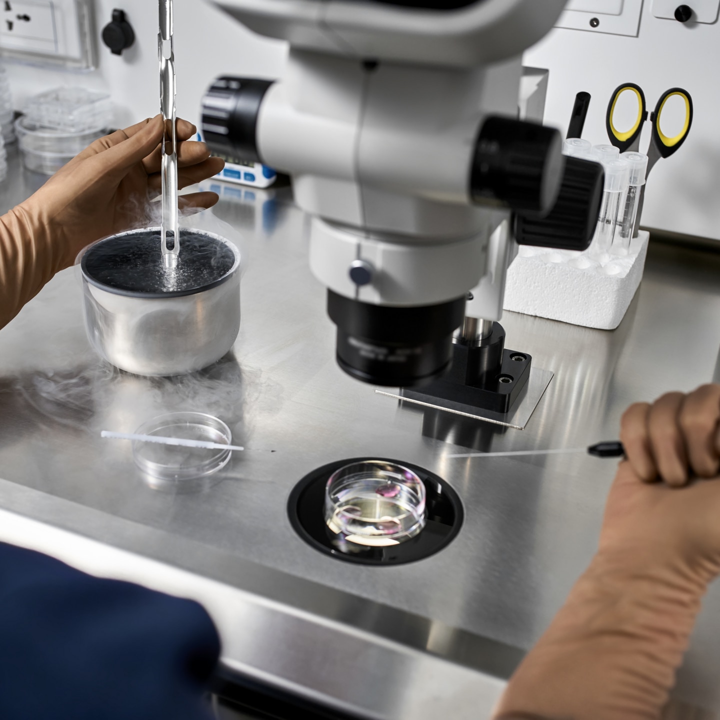 Process of in vitro fertilization in laboratory