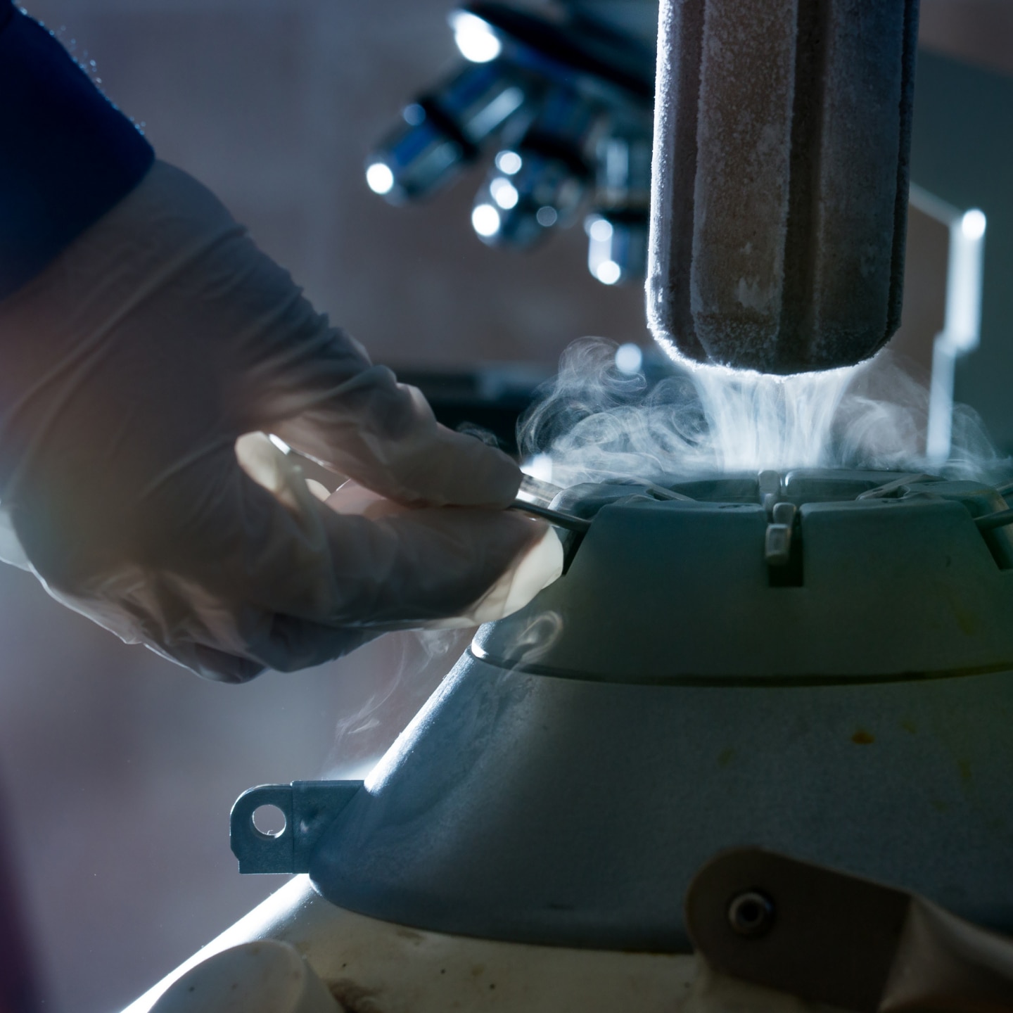 Frozen bovine semen in liquid nitrogen tank