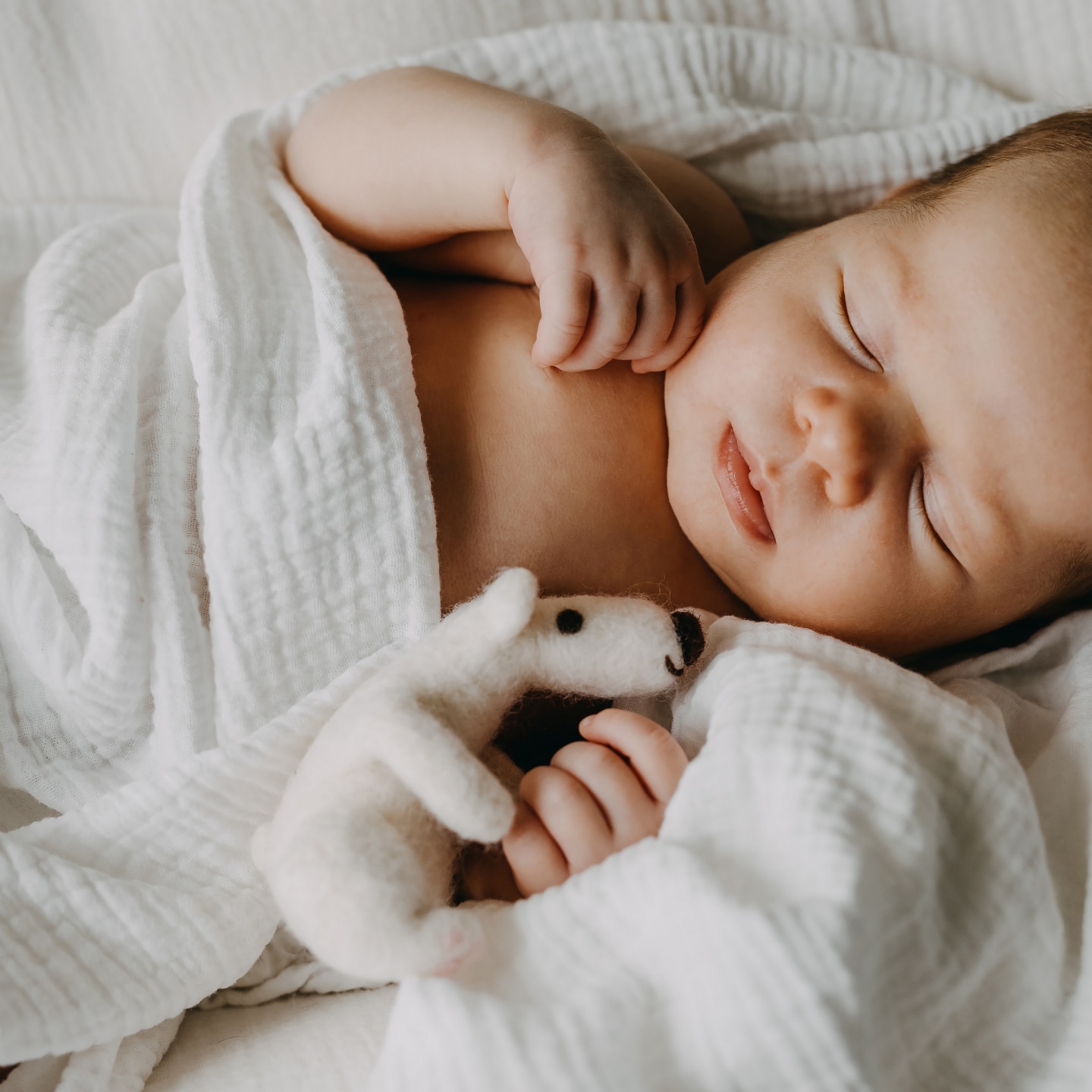 Newborn baby sleeping