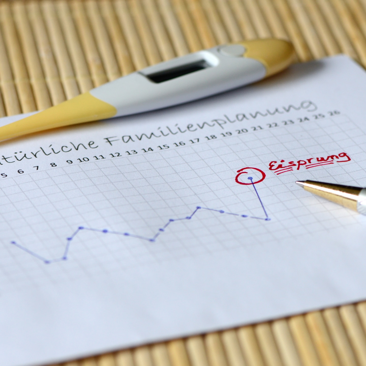 Natürliche Familienplanung