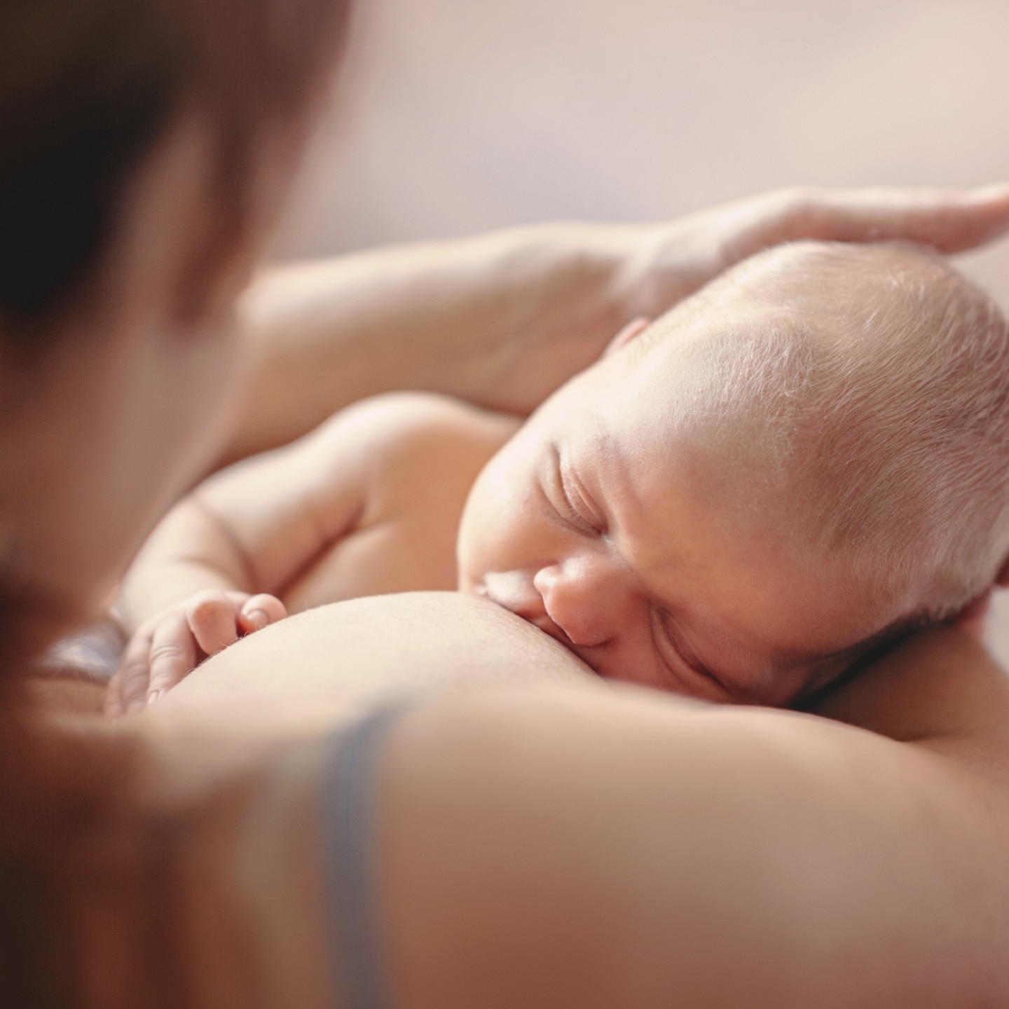 mutter stillt ihr neugeborenes baby