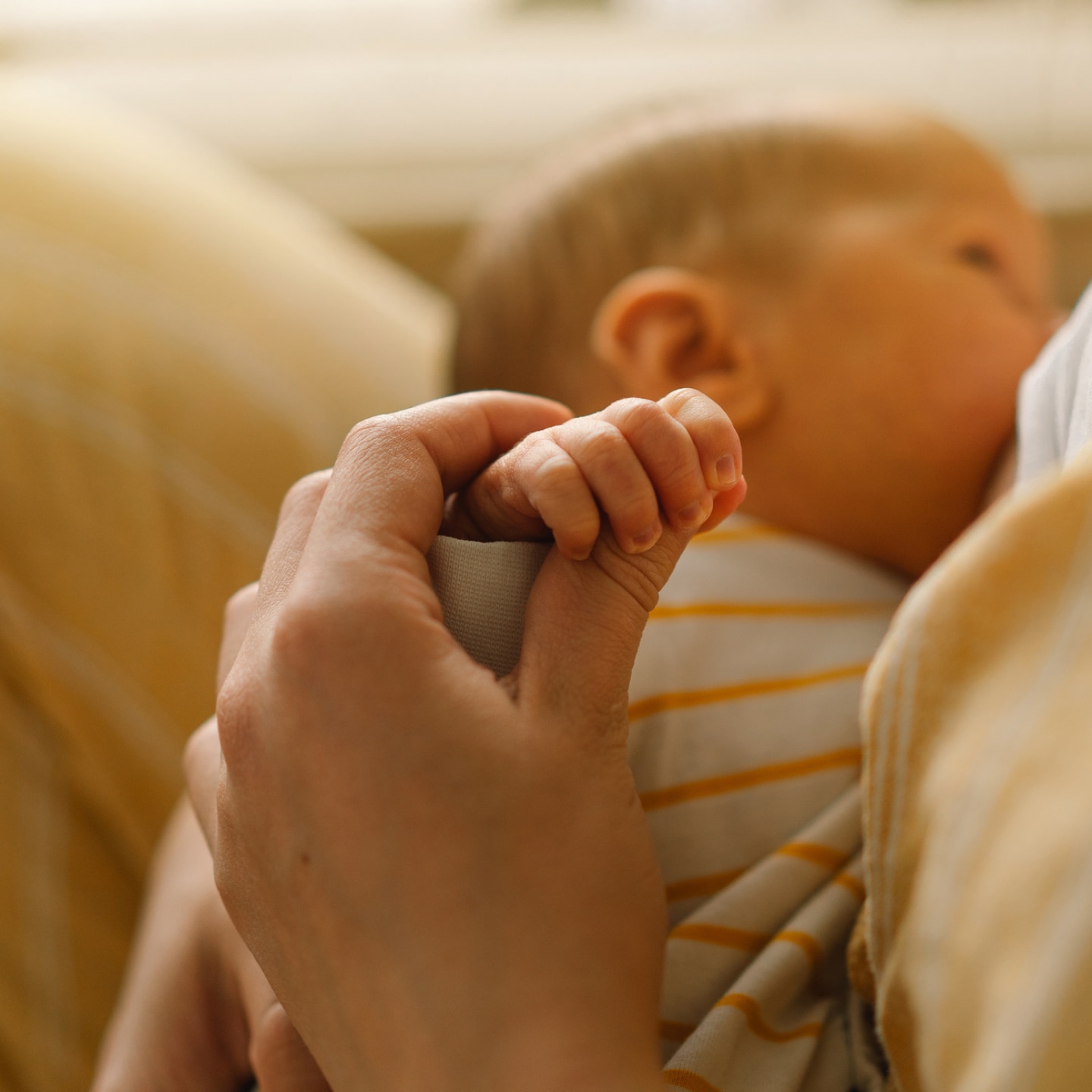 neugeborenes wird von der mutter gestillt
