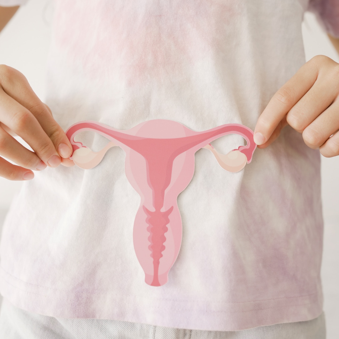 frau hält modell einer gebährmutter