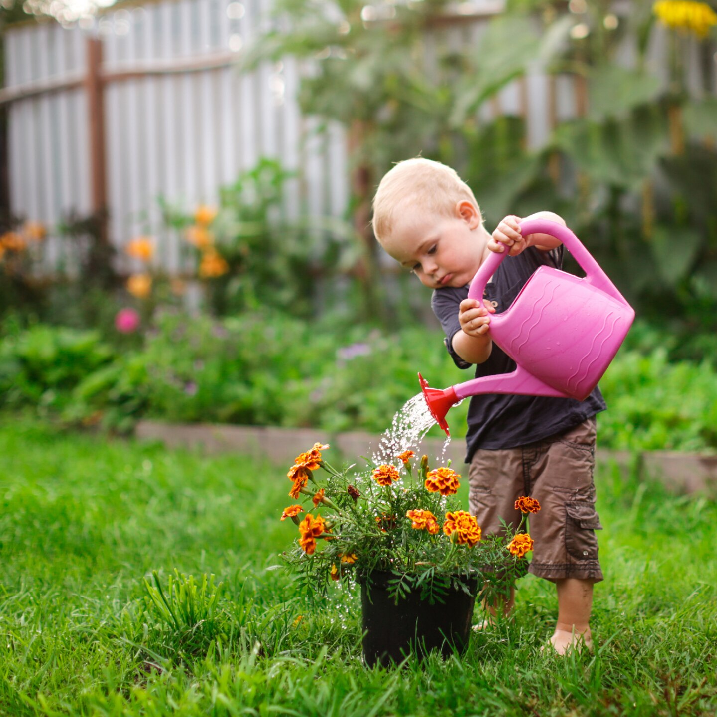 kleinkind-gießt-blumen-im-garten