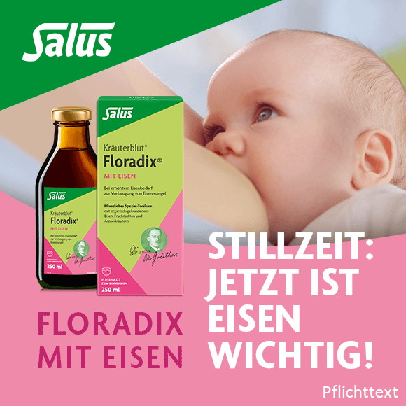 Eisen in der Stillzeit