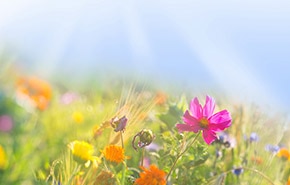 Hoher ige wert keine allergie Hoher ige wert keine allergie