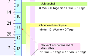 Schwangerschaftskalender anlegen