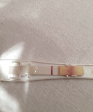 Bild zu Ist da ein Strich - Kinderwunsch - was tun, um schwanger zu werden?