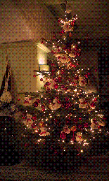 Bild zu Unser Baum ist fertig. - Weihnachten