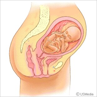 Bild zu Wahnsinn, wir haben schon September... - Forum für Februar - Mamis