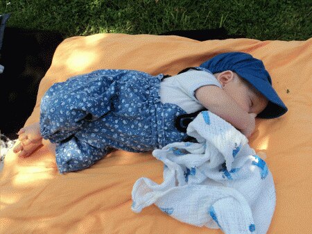 Bild zu 
