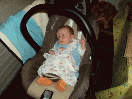 Bild zu 
