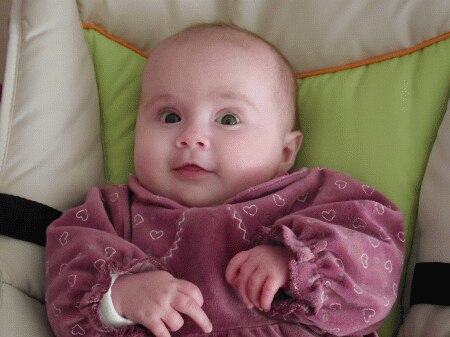 Bild zu 