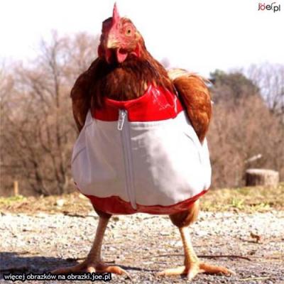 Bild zu ... - Baby Forum - Allgemeine Themen