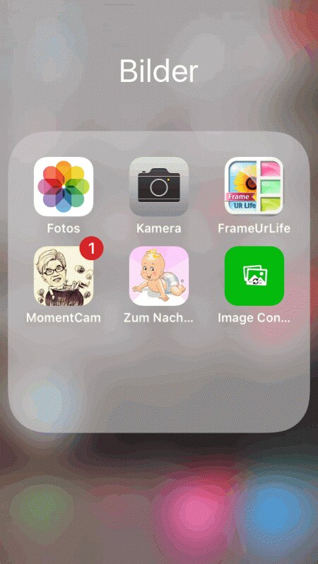 Bild zu