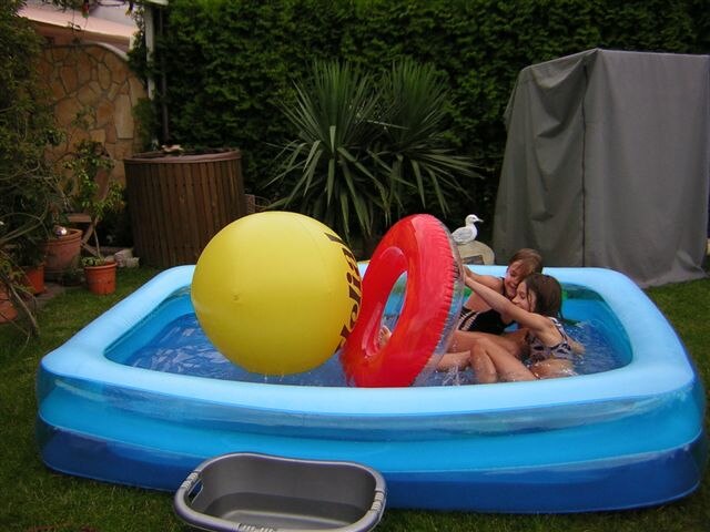 Bild zu