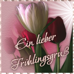 Bild zu *~*~*~*STRANDNIXEN-WIEGETAG*~*~*~* - Diätclub - Forum und Erfahrungsaustausch