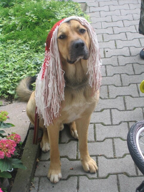 Bild zu 
