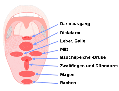 Bild zu Es hängt alles irgendwie zusammen. - Partnerschaft - Forum