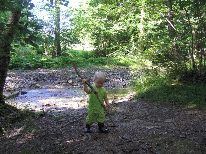Bild zu Babyurlaub elektrosmogFREI im Haus Bergahorn - Ferienwohnung - Reisen, Reiseforum, Urlaub mit Kinder
